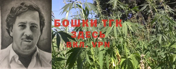 стаф Абаза