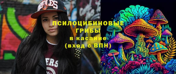стаф Абаза