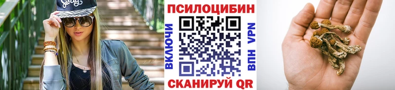 Псилоцибиновые грибы прущие грибы  наркота  Кимовск 